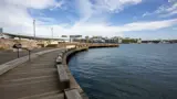 Wide shot of Watermans Cove in Barangaroo